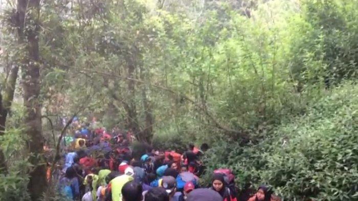 Macet Bukan Cuma Milik Kota Besar Dong, Gunung Merbabu Juga!